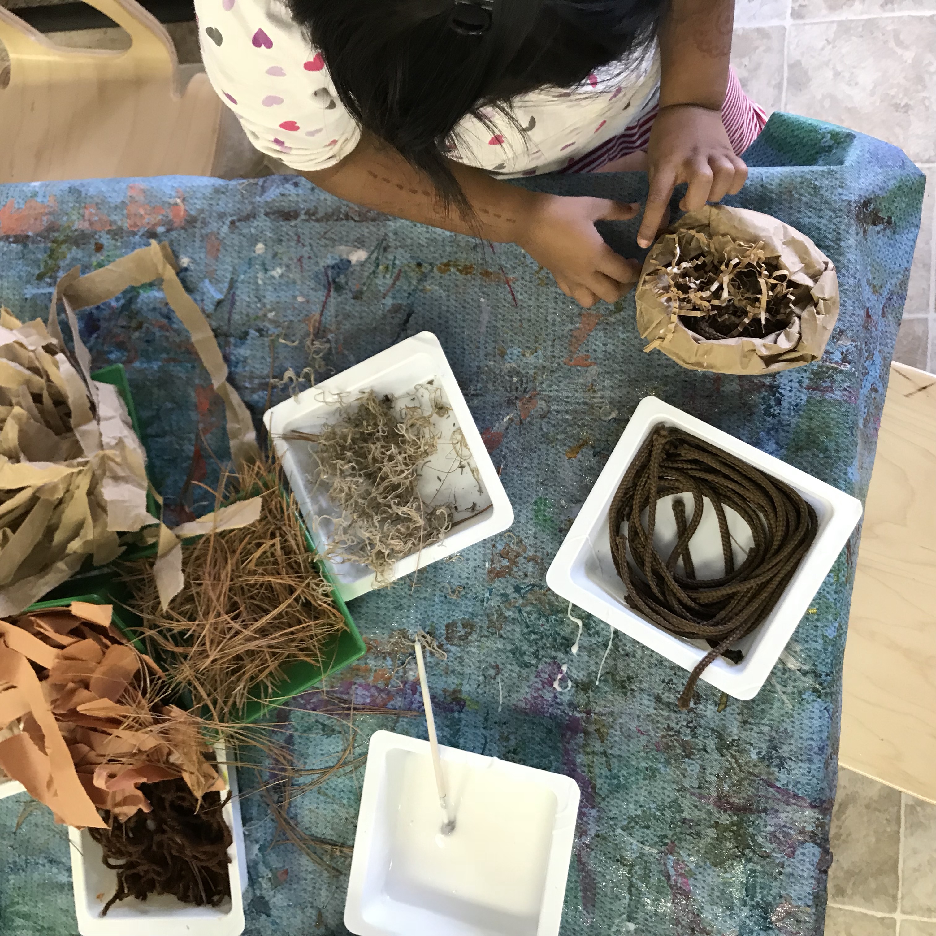 Brilliant Butterflies :: December 7, 2017
