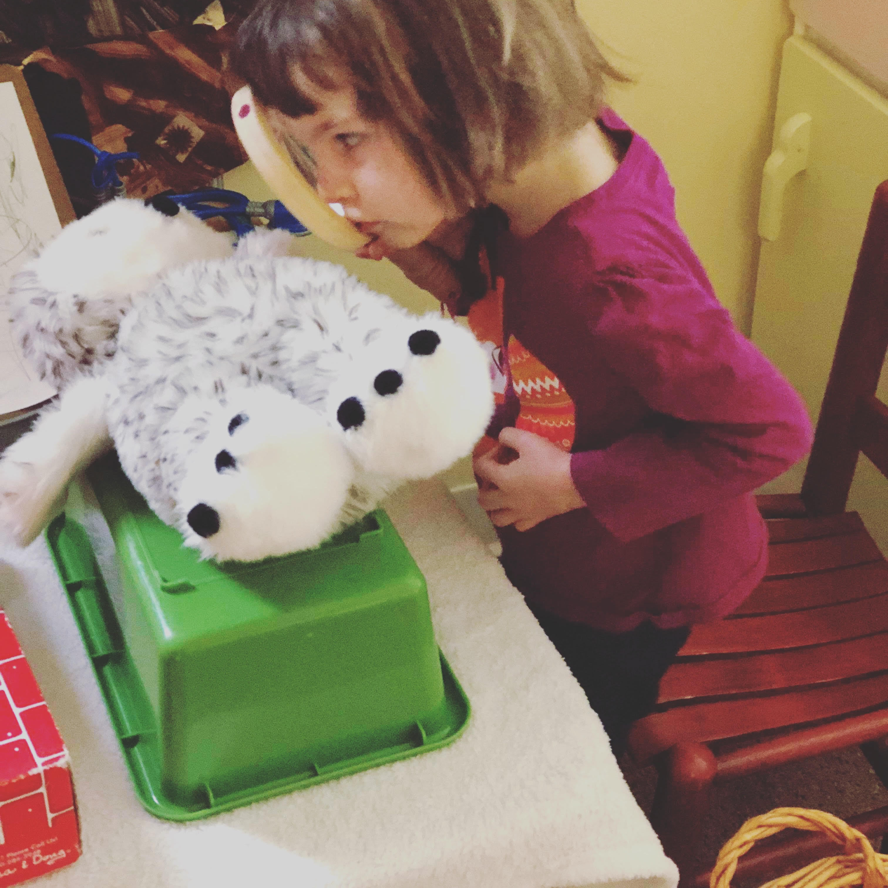 Honey Bees :: Week 13