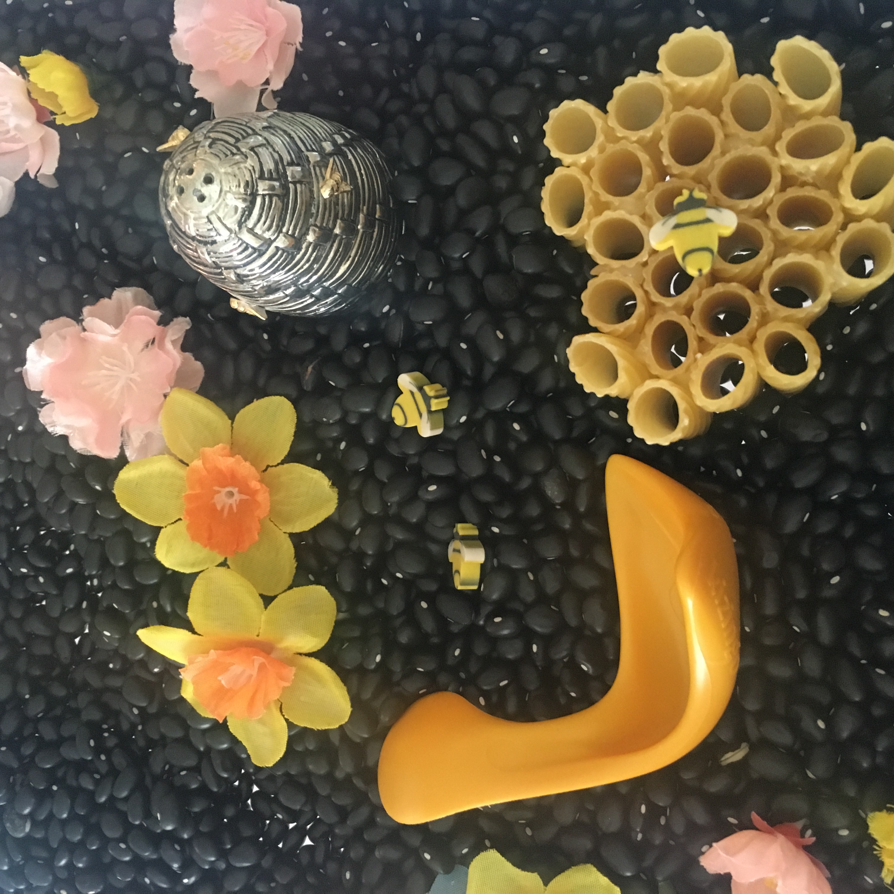 The Honey Bees :: Week 30