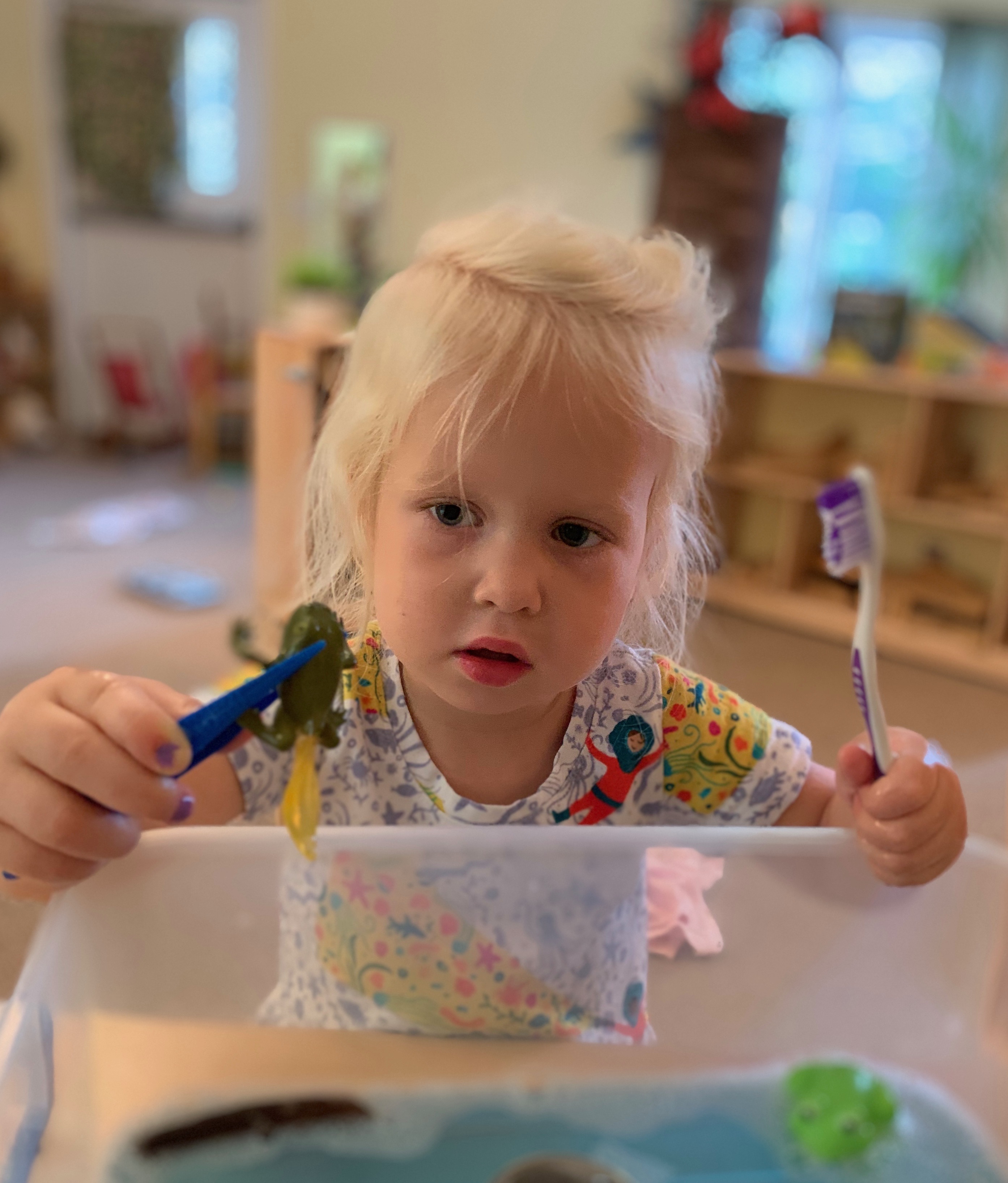 The Honey Bees :: Week 2