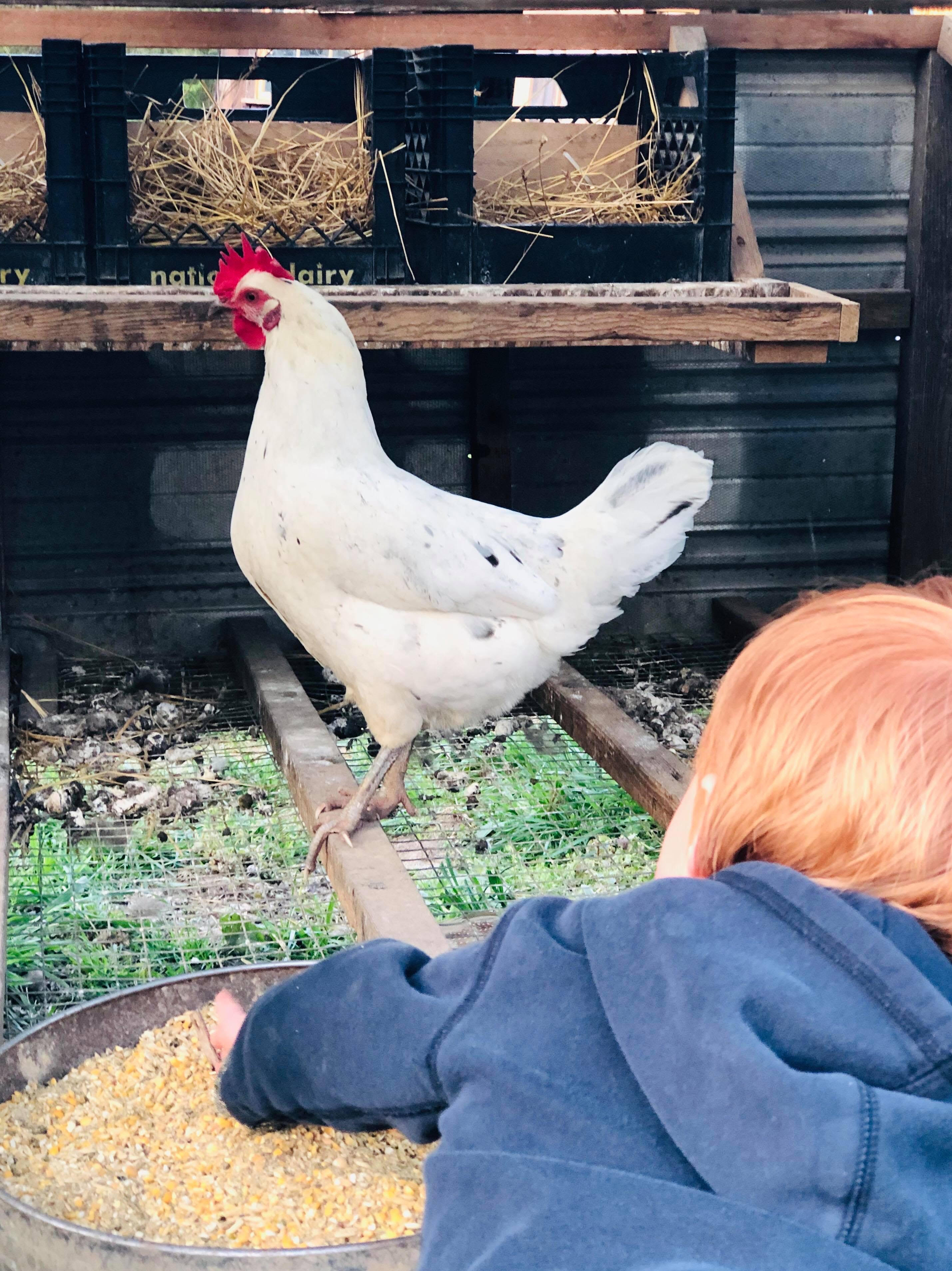Playing and Learning at Home :: April 9