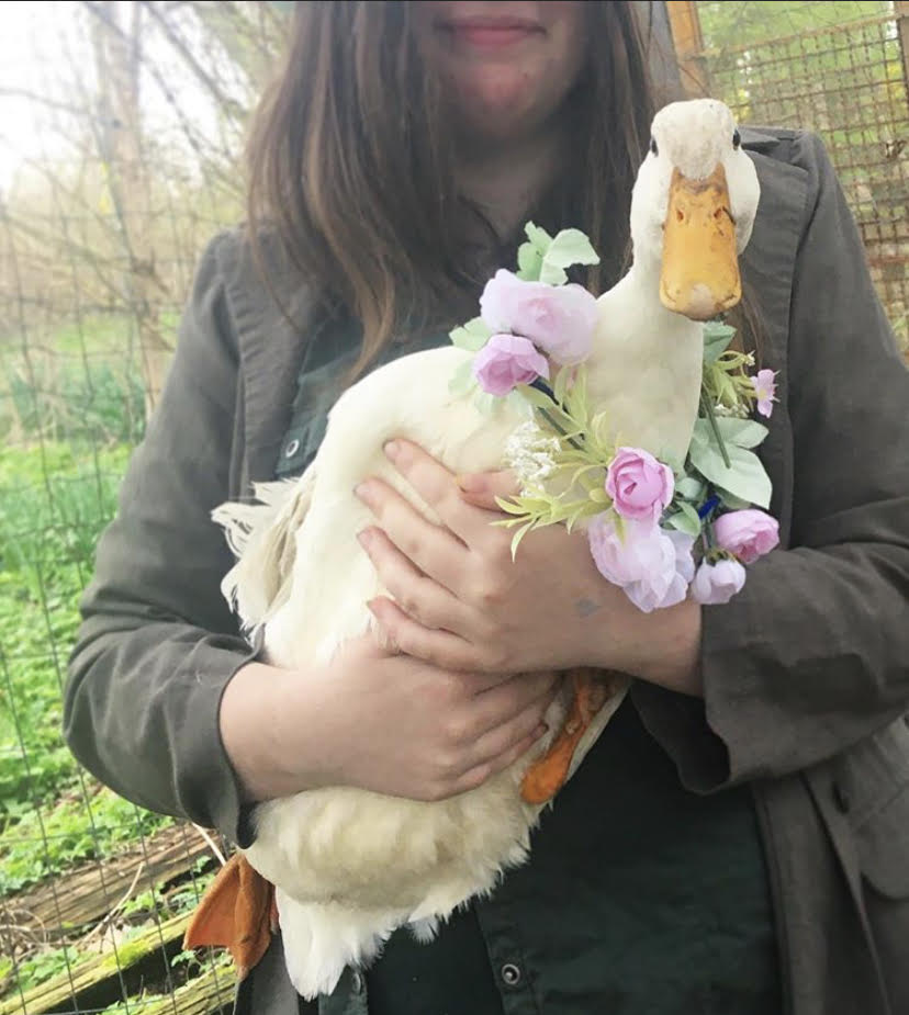 Playing and Learning at Home :: April 10