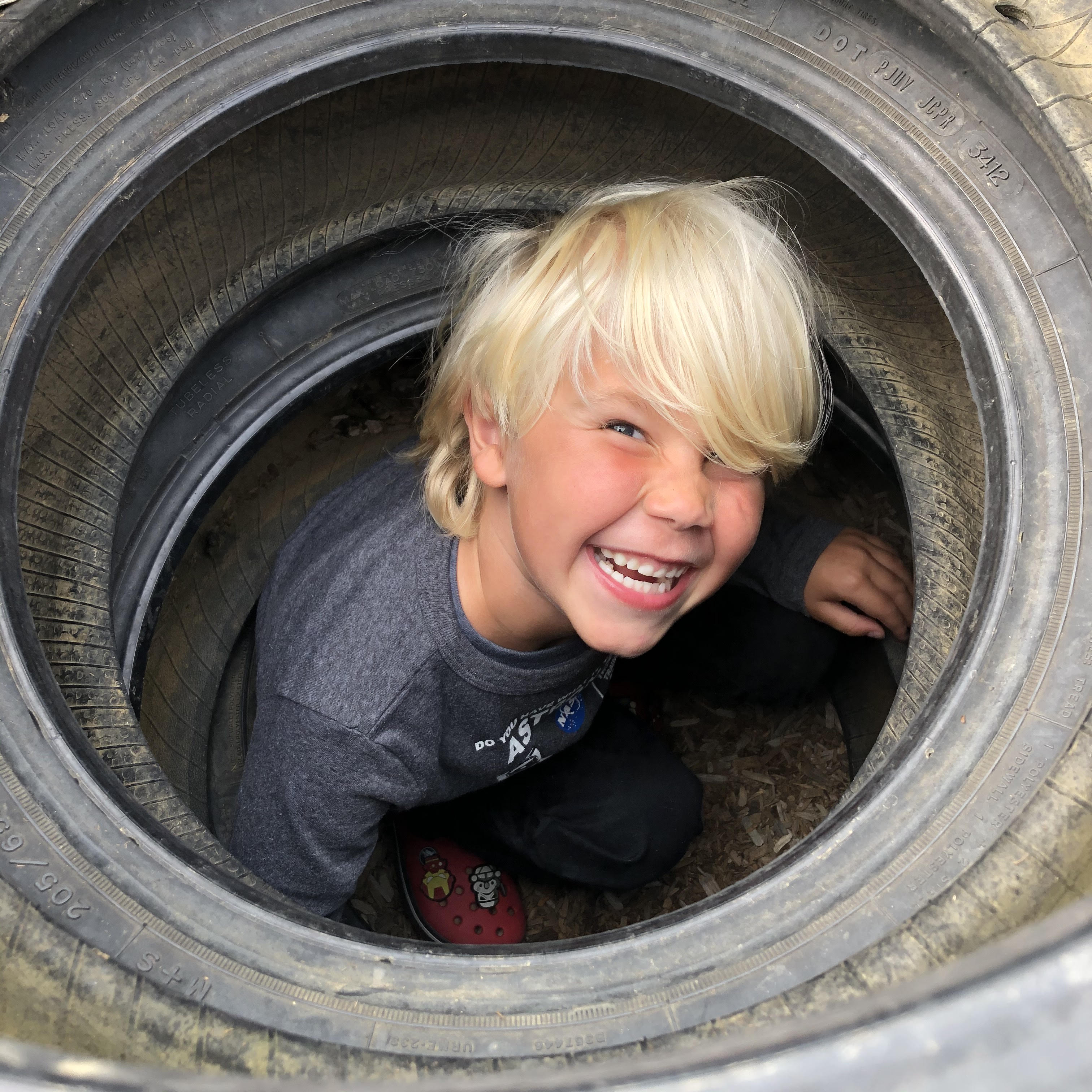 Bluebirds :: Week Three