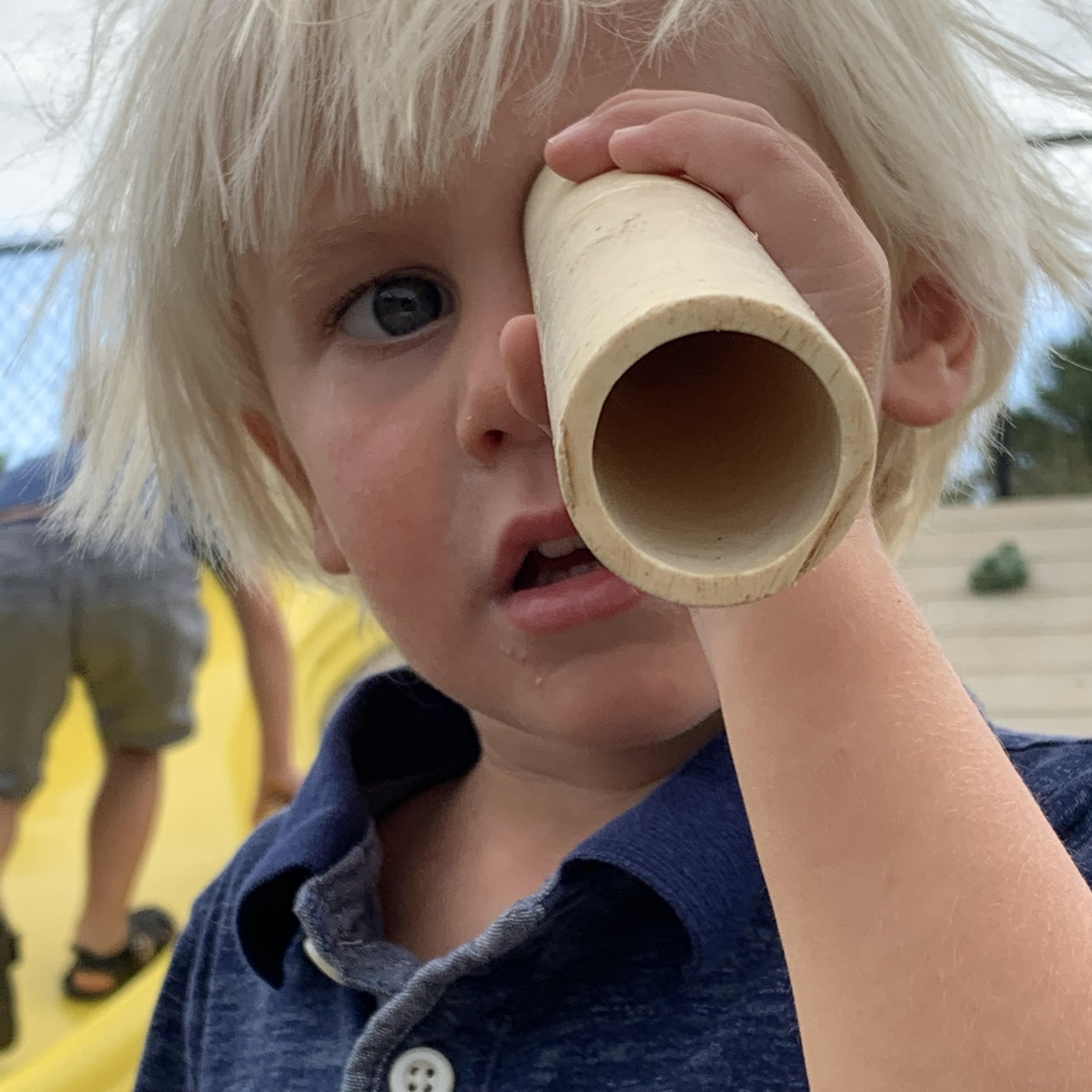 The Honeybees :: Week 3