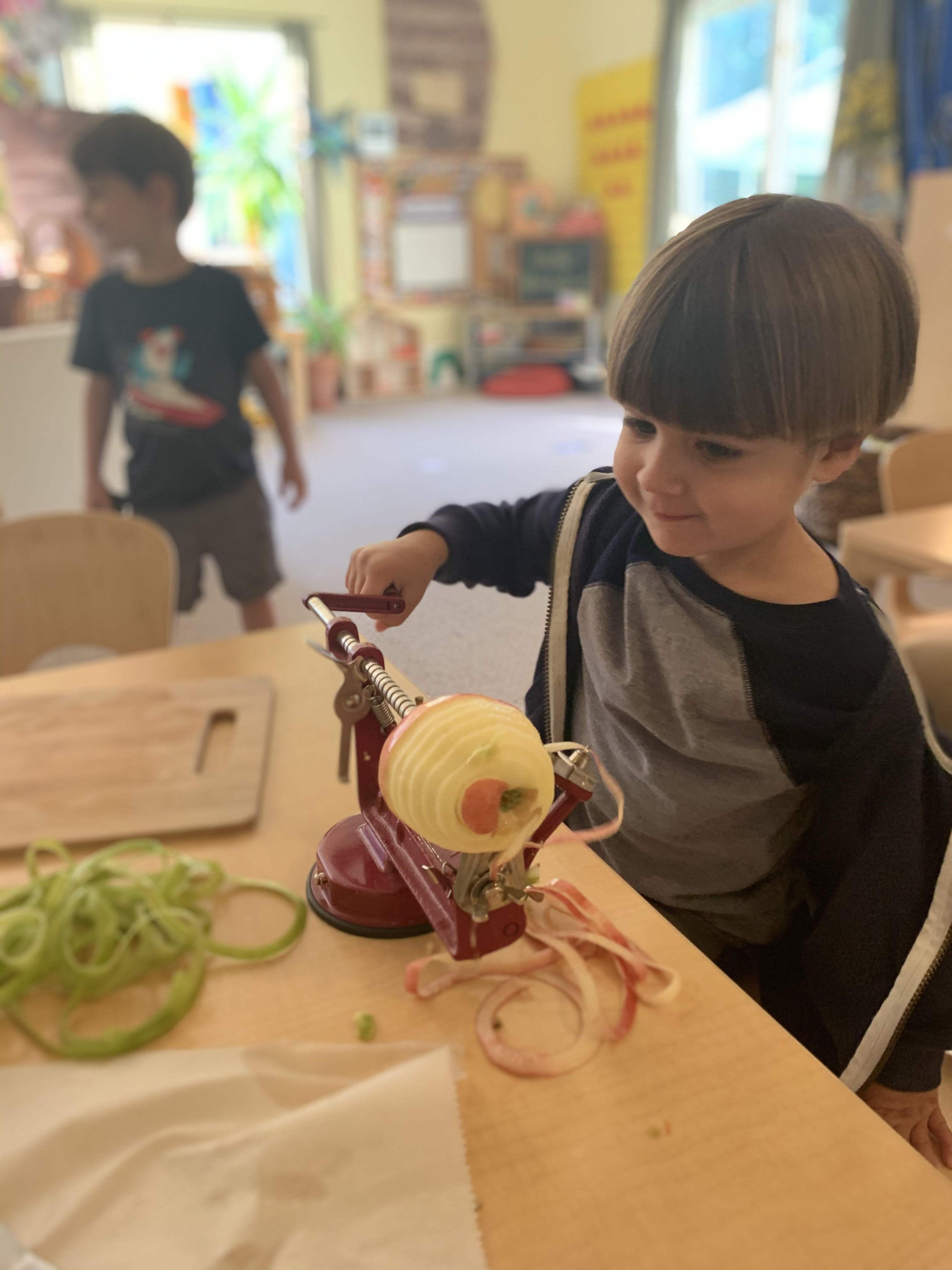 Honeybees :: Week Seven